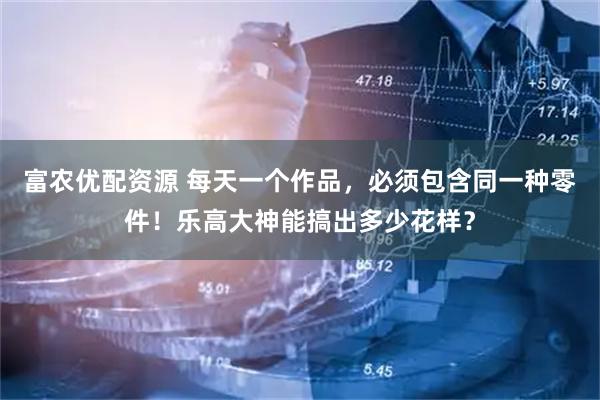 富农优配资源 每天一个作品，必须包含同一种零件！乐高大神能搞出多少花样？