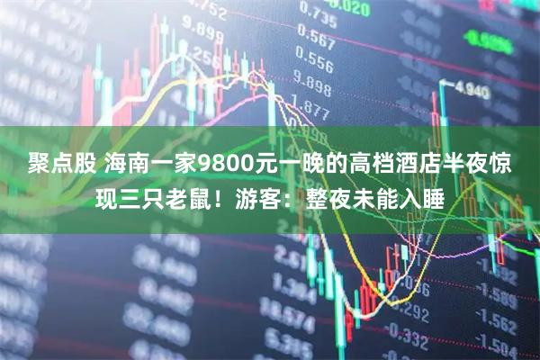 聚点股 海南一家9800元一晚的高档酒店半夜惊现三只老鼠！游客：整夜未能入睡