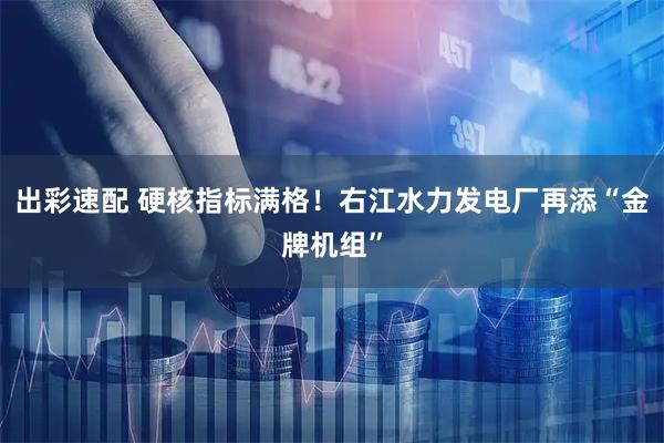 出彩速配 硬核指标满格！右江水力发电厂再添“金牌机组”