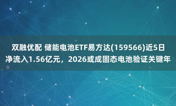 双融优配 储能电池ETF易方达(159566)近5日净流入1.56亿元，2026或成固态电池验证关键年