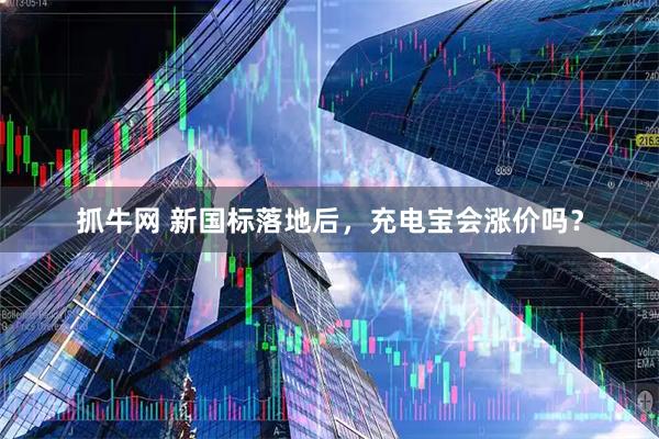抓牛网 新国标落地后，充电宝会涨价吗？