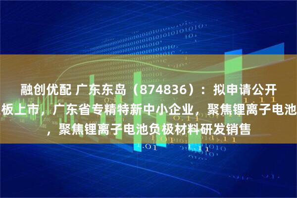 融创优配 广东东岛（874836）：拟申请公开发行股票并在创业板上市，广东省专精特新中小企业，聚焦锂离子电池负极材料研发销售