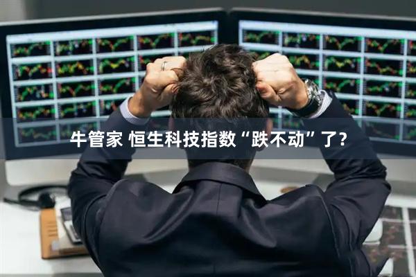 牛管家 恒生科技指数“跌不动”了？