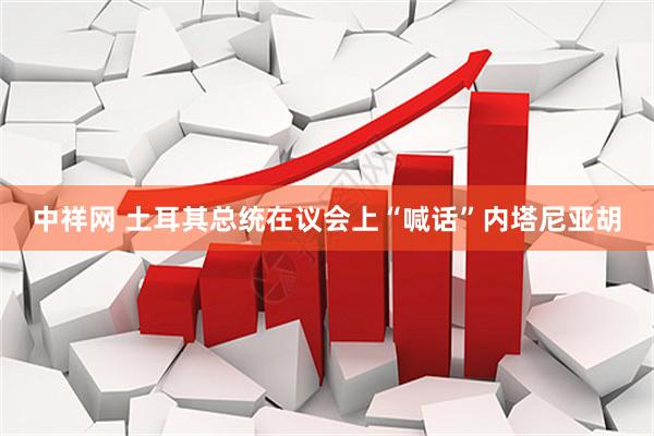 中祥网 土耳其总统在议会上“喊话”内塔尼亚胡