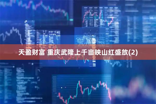 天盈财富 重庆武隆上千亩映山红盛放(2)