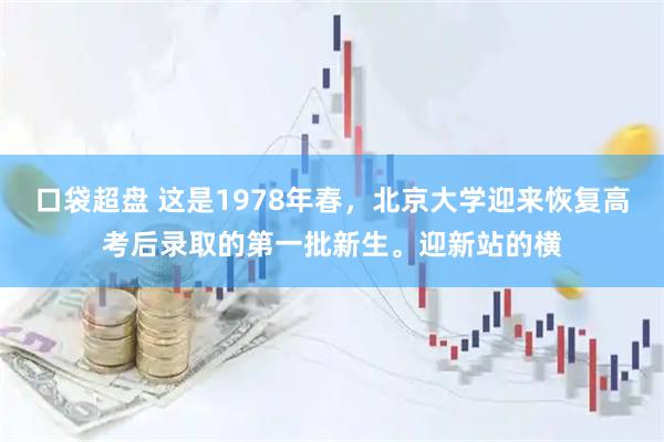 口袋超盘 这是1978年春,北京大学迎来恢复高考后录取的第一批新生。迎新站的横