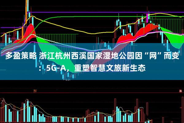 多盈策略 浙江杭州西溪国家湿地公园因“网”而变:5G-A,重塑智慧文旅新生态