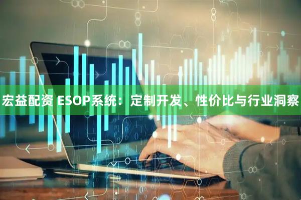 宏益配资 ESOP系统：定制开发、性价比与行业洞察
