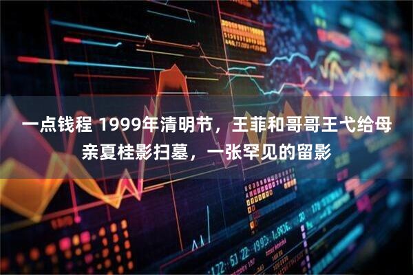 一点钱程 1999年清明节，王菲和哥哥王弋给母亲夏桂影扫墓，一张罕见的留影