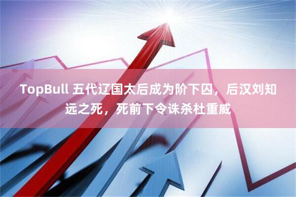 TopBull 五代辽国太后成为阶下囚，后汉刘知远之死，死前下令诛杀杜重威