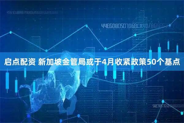 启点配资 新加坡金管局或于4月收紧政策50个基点