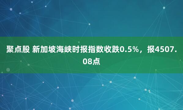 聚点股 新加坡海峡时报指数收跌0.5%，报4507.08点