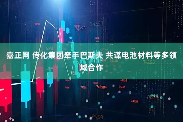 嘉正网 传化集团牵手巴斯夫 共谋电池材料等多领域合作