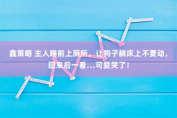 鑫策略 主人睡前上厕所，让狗子躺床上不要动，回来后一看…可爱哭了！
